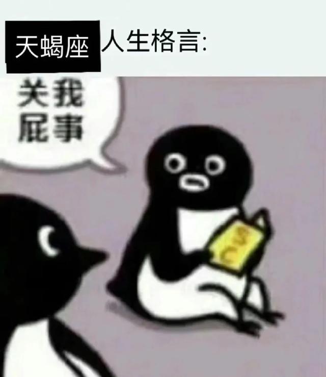 射手宝宝的温馨瞬间