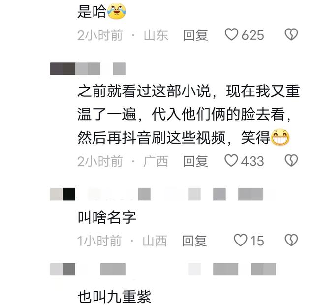 网友对窦昭怀孕的反应